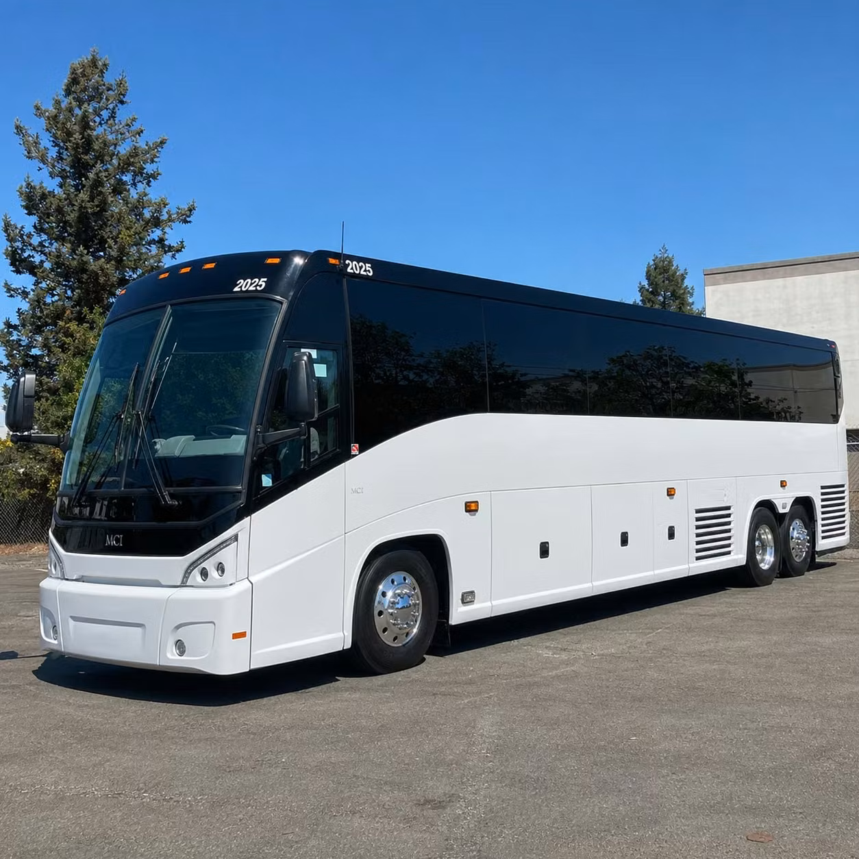 charterbuscharleston com is here for charleston wedding groups traveling from out of town